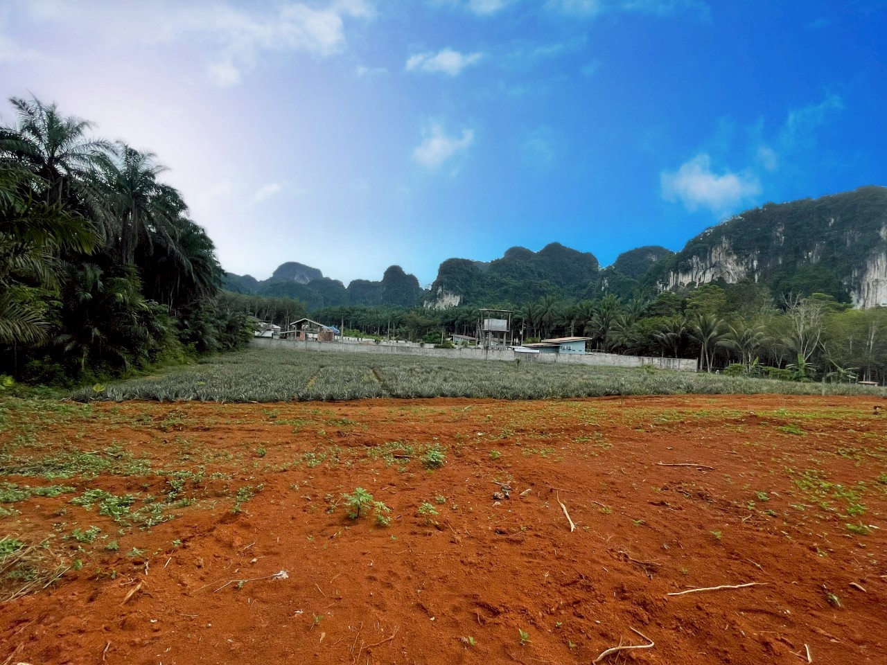  ขายที่ดินแปลงเล็ก วิวภูเขาสวย  อ่าวนาง กระบี่